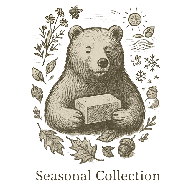 Seasonal Collection 🐻🍂🌼❄️☀️